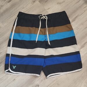 American Eagle Outfitters Men's Black, Blue, Brown & White Striped Board Shorts